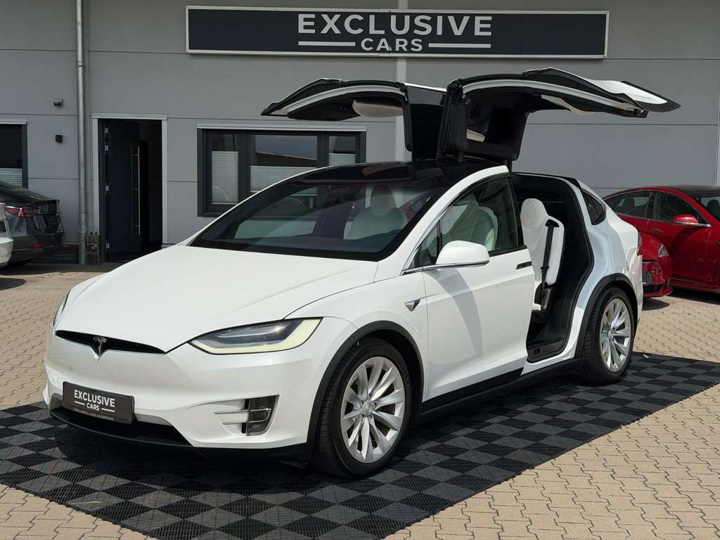 Tesla Model X MODEL X LONG RAVEN PLUS | WHITE ON WHITE |