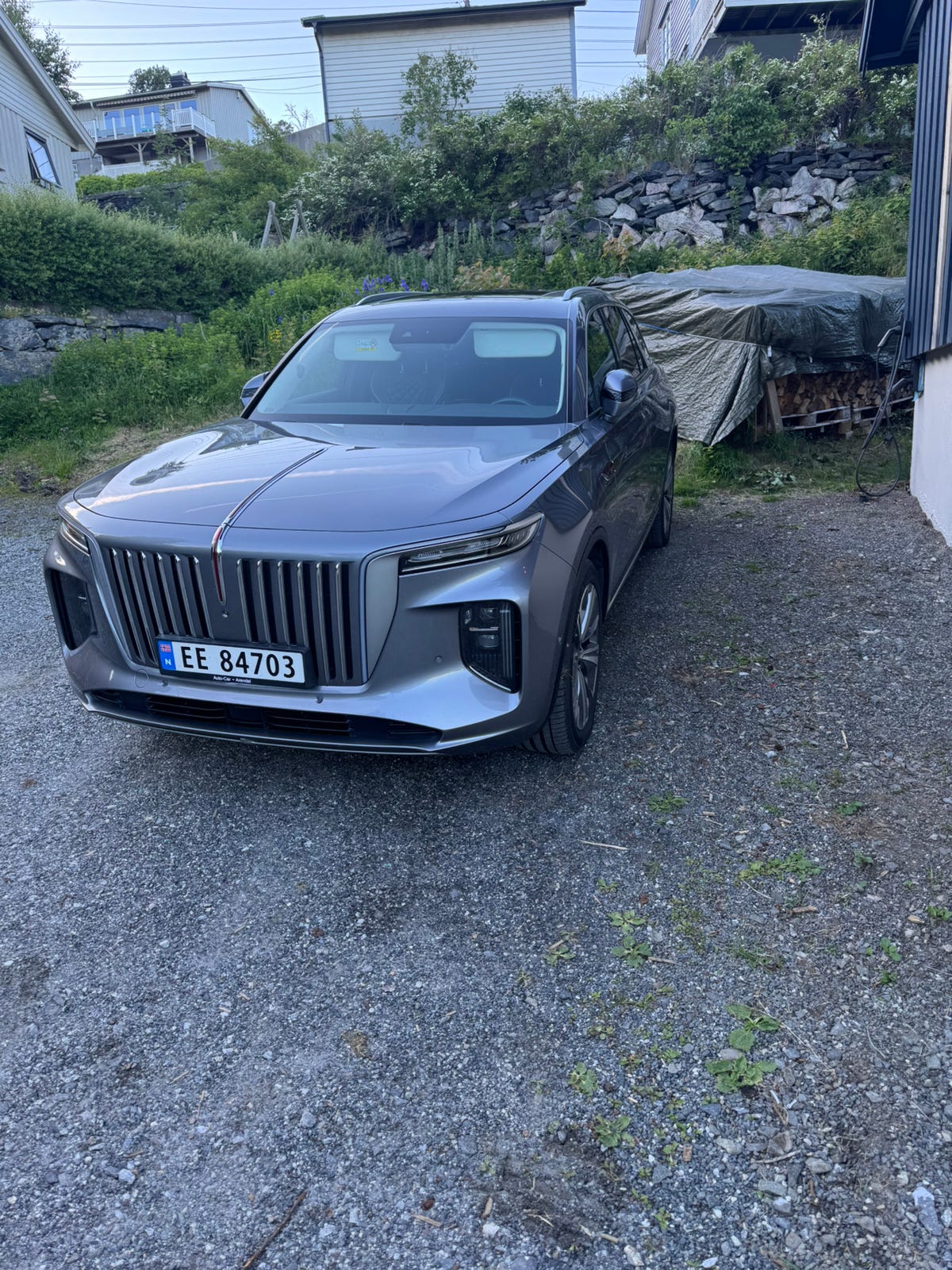Hongqi E-HS9