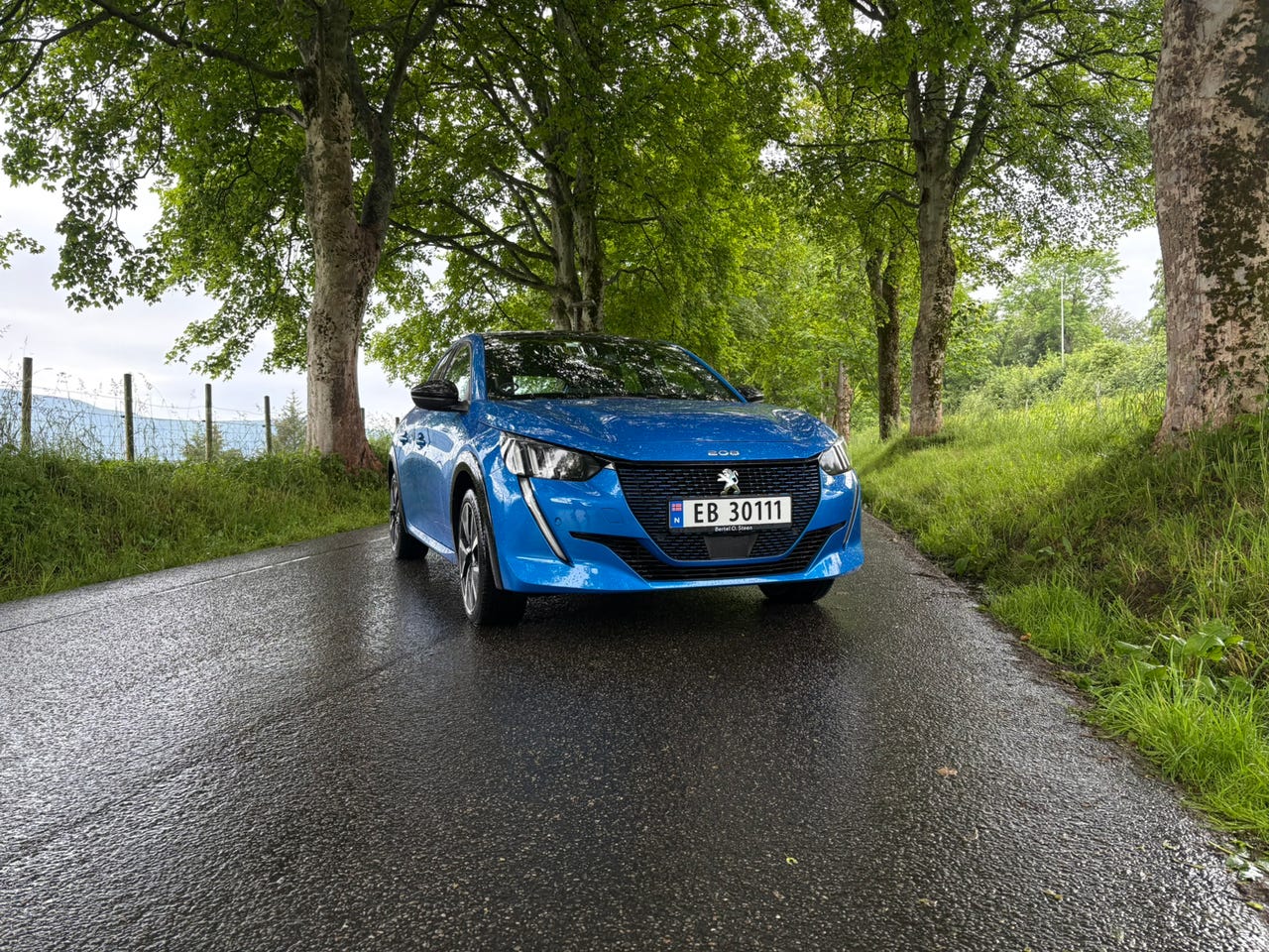 Peugeot e-208